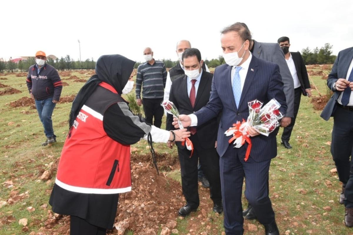 Şanlıurfa&rsquo;da 8 Mart ağa&ccedil;landırma etkinliği