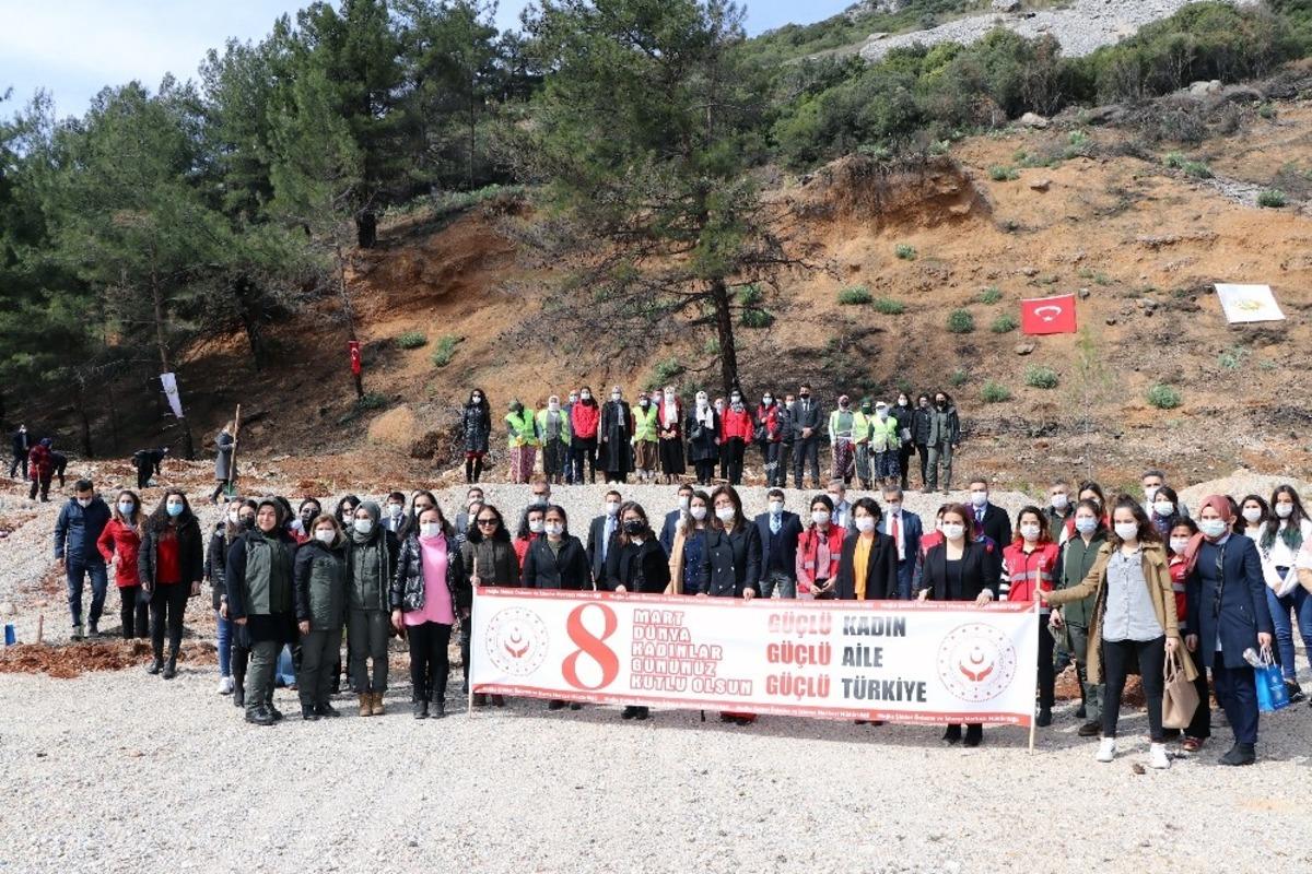 Muğla&rsquo;da Mercan Hatıra Ormanı