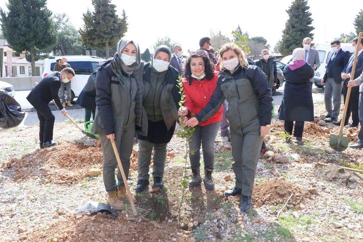 Muğla’da Mercan Hatıra Ormanı G2