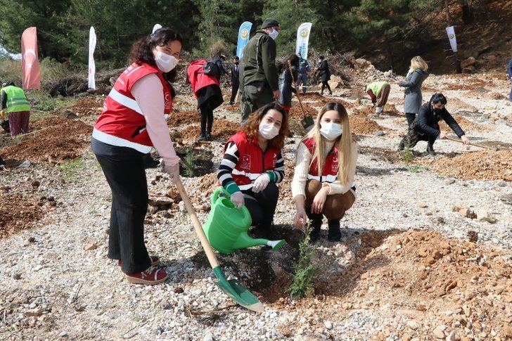 Muğla’da Mercan Hatıra Ormanı G3