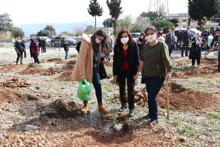 Muğla’da Mercan Hatıra Ormanı G4