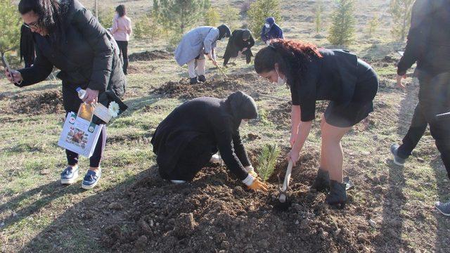 Kadınlar fidanları toprakla buluşturdu