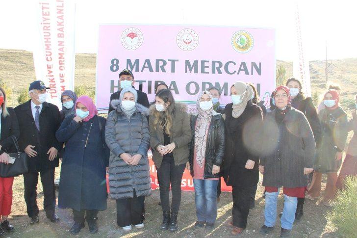 Kadınlar fidanları toprakla buluşturdu G2