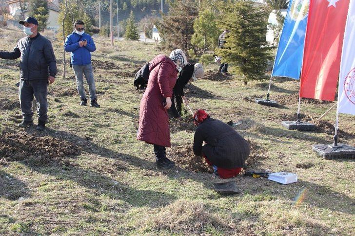 Kadınlar fidanları toprakla buluşturdu G4