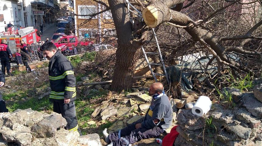Aydın'da kestiği ağaç üzerine düşen işçi yaralandı