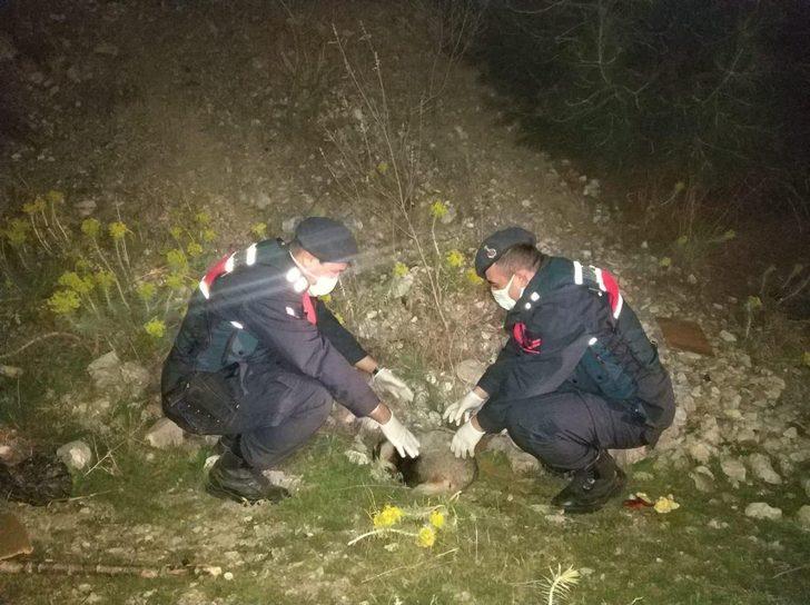 Yaralı porsuğa jandarma eli G1