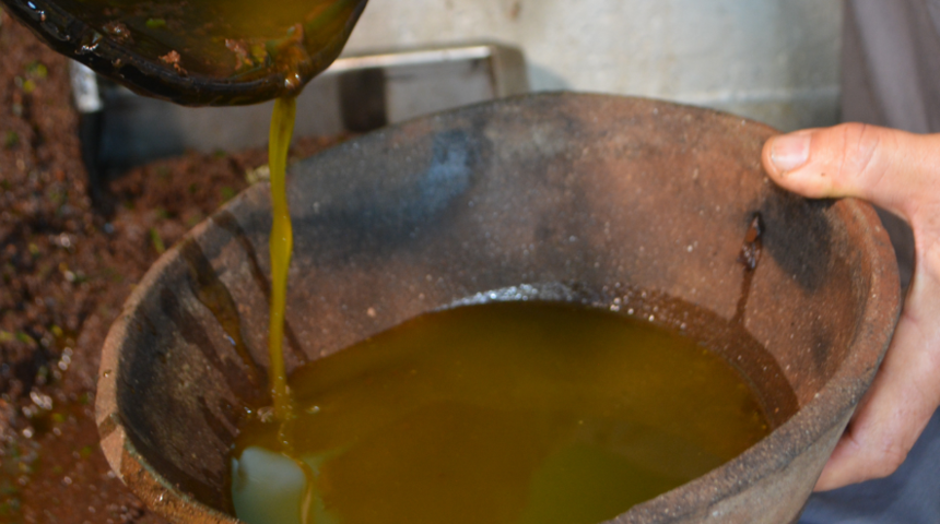 Dikkat çekmek için türküyü değiştirdi! Zeytinyağlı yerim aman, doktor nedir bilmem aman 