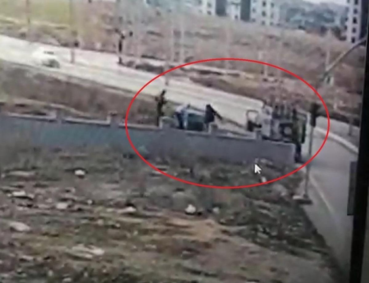 Kendi k&ouml;pekleri i&ccedil;in sokak k&ouml;peklerinin kul&uuml;belerini &ccedil;aldılar