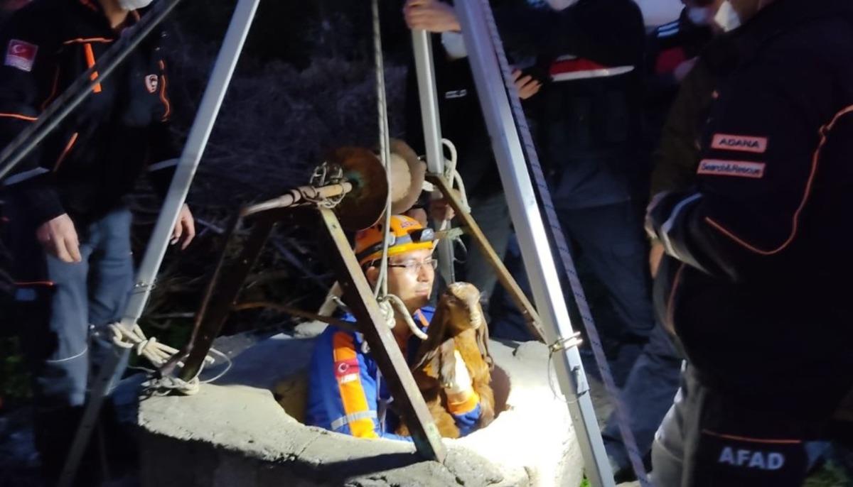 Kuyuya d&uuml;şen yavru ke&ccedil;iler kurtarıldı