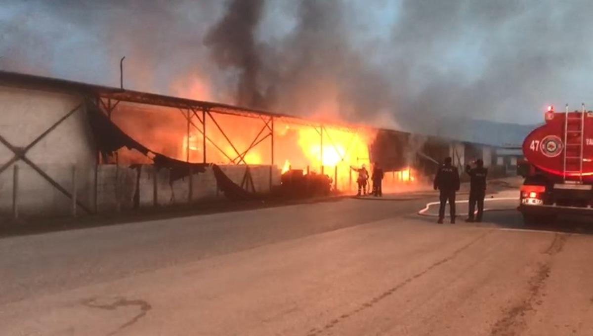 20 ton soğan ve 16 bin kasanın k&uuml;le d&ouml;nd&uuml;