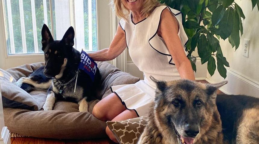 Biden’ın köpeği Major Beyaz Saray'ı birbirine kattı