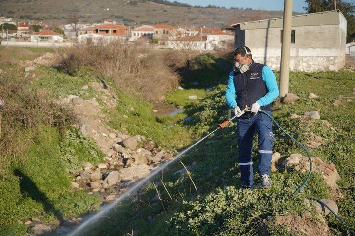 Ayvalık’ta sivrisinekle 365 gün mücadele G1