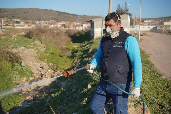 Ayvalık’ta sivrisinekle 365 gün mücadele G2