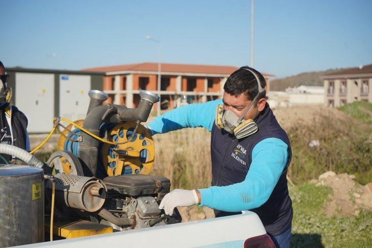 Ayvalık’ta sivrisinekle 365 gün mücadele G3