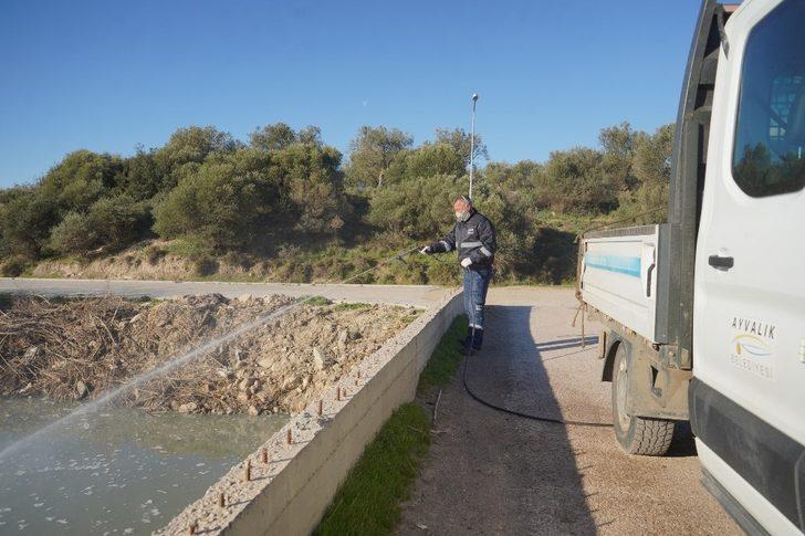 Ayvalık’ta sivrisinekle 365 gün mücadele G5