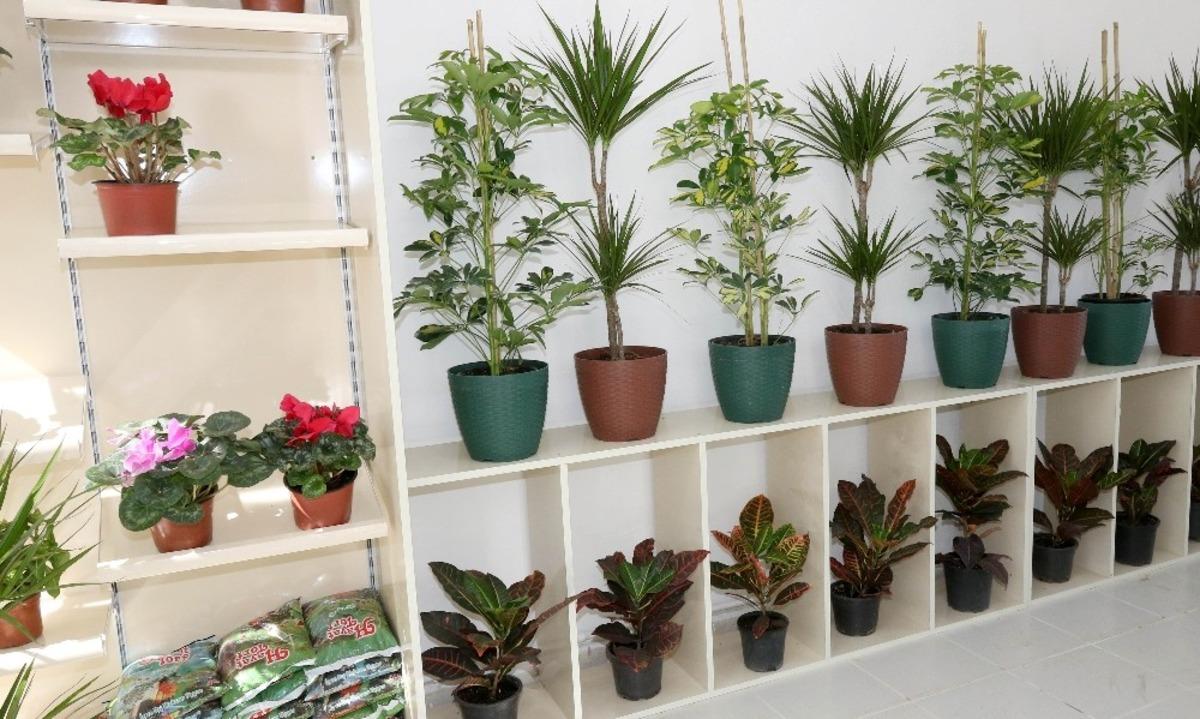 &Ccedil;ankaya Belediyesinden &ccedil;i&ccedil;ek satış mağazası