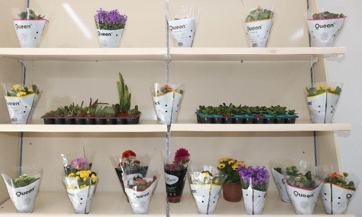 Çankaya Belediyesinden çiçek satış mağazası G5