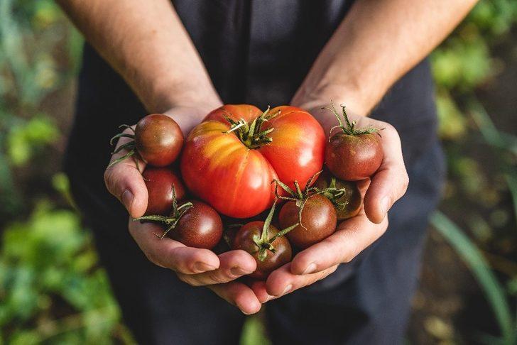 Organik tarım sektöründe büyük güç birliği G2