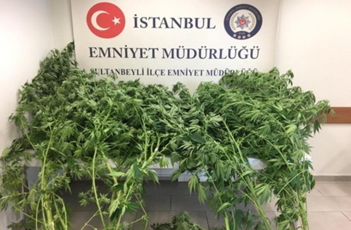 Sultanbeyli&rsquo;de uyuşturucu tacirlerine ve su&ccedil;lulara g&ouml;z a&ccedil;tırılmıyor