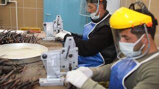 Tokat'ın meşhur bağ (asma) yaprağı fidanı taleplerine yetişemiyorlar