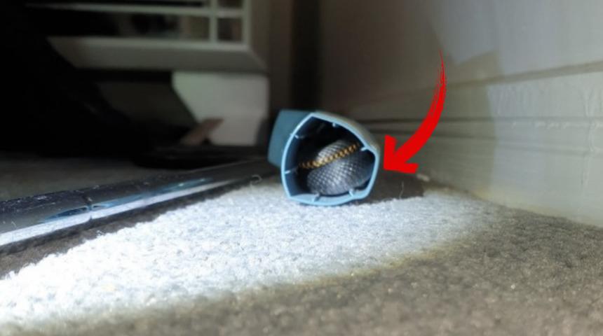 Zehirli keşif! Yılanın saklandığı yer şaşkına çevirdi