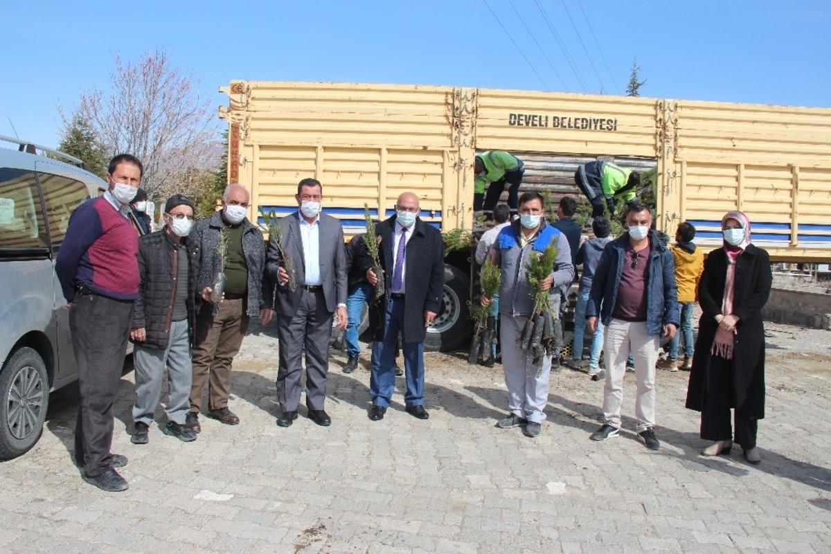 Develi&rsquo;de 30 bin fidan dağıtıldı