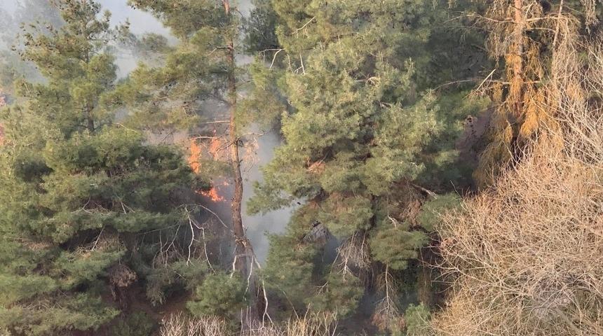 Kış mevsiminde orman yangını paniğe neden oldu