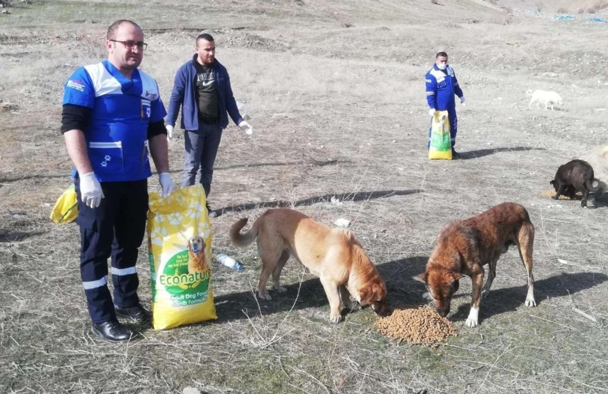 Belediye ekipleri can dostları kendi elleriyle besledi