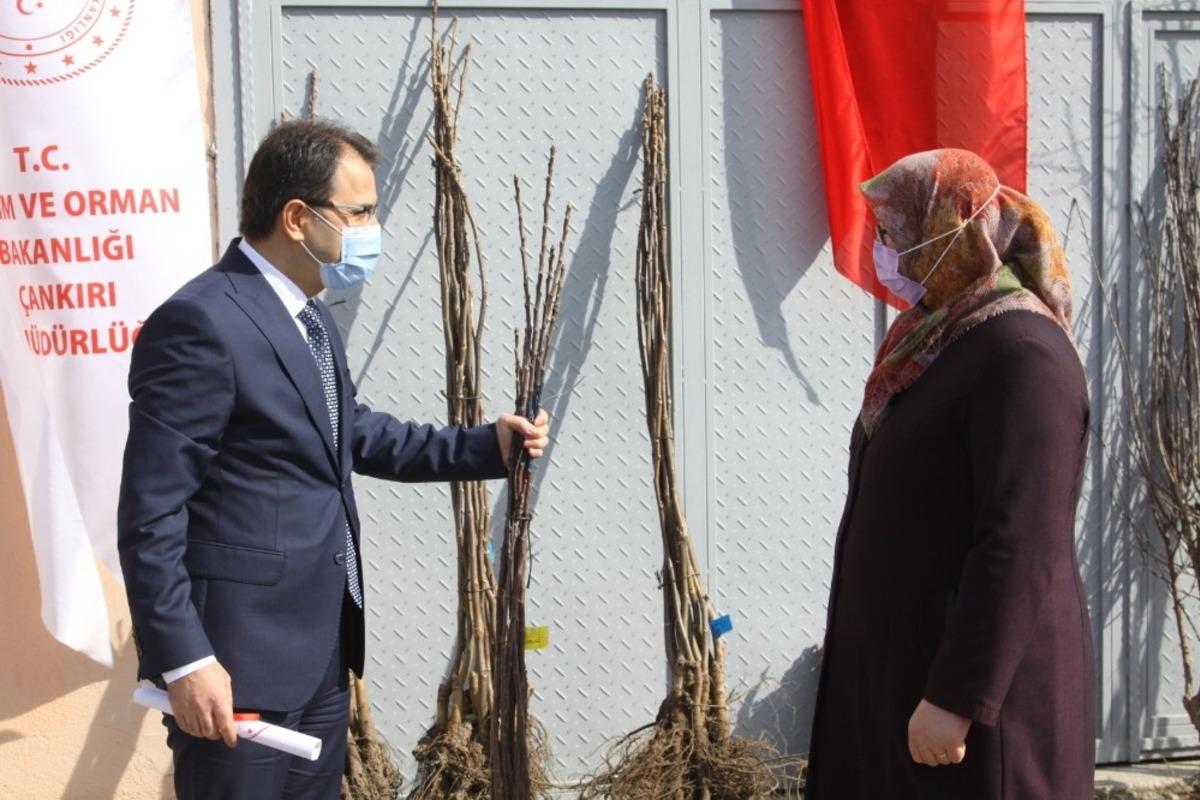 &Ccedil;ankırı&rsquo;da 10 bin meyve fidanı toprakla buluşacak