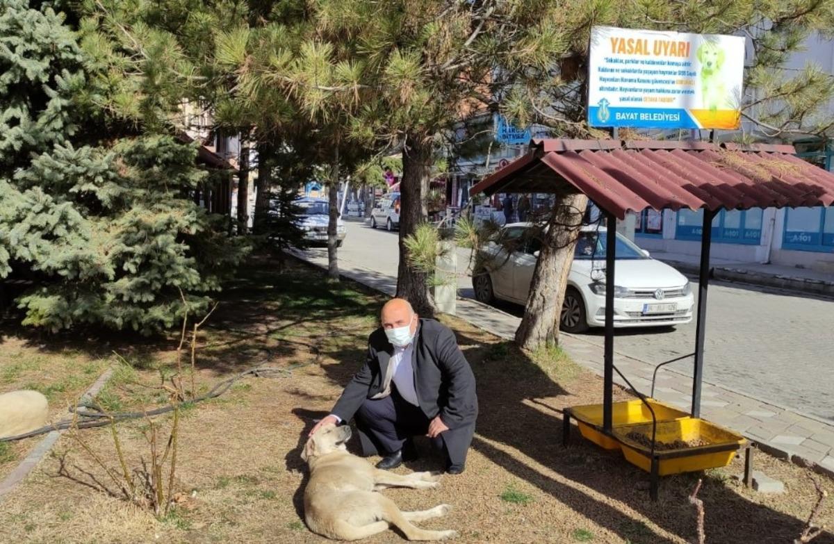 Bayat Belediyesi sokak hayvanlarını unutmadı