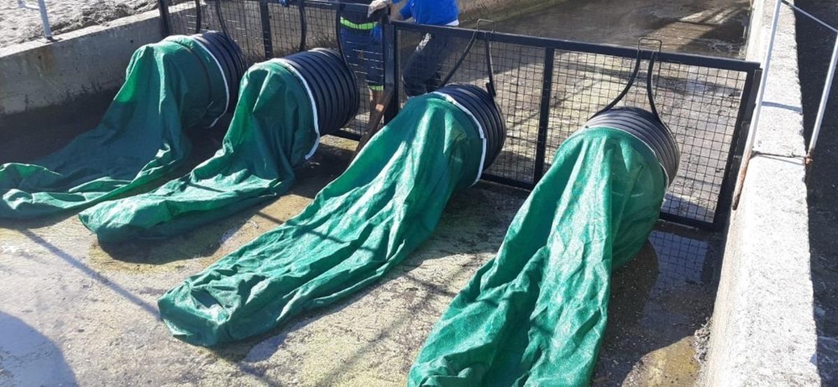 Marmaris&rsquo;te dere ağızları ağ ile kapatılıyor