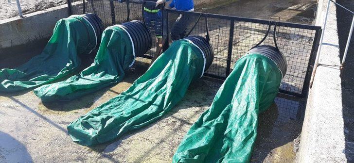 Marmaris’te dere ağızları ağ ile kapatılıyor G1