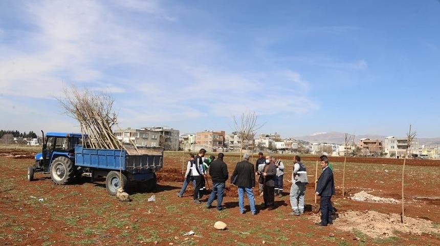 Yunus Emre mahallesine en b&uuml;y&uuml;k bah&ccedil;e