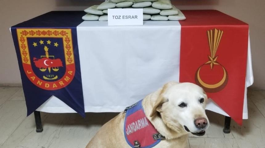 Batman&rsquo;da kullanıma hazır 8 kilo 600 gram toz esrar yakalandı