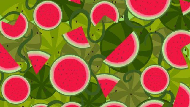 Görsel becerinizi arttıracak bir bulmaca! Verilen görseldeki yılanı görebiliyor musunuz?