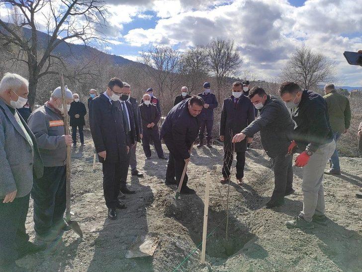 Osmancık’ta bin adet nar fidanı toprakla buluştu G1