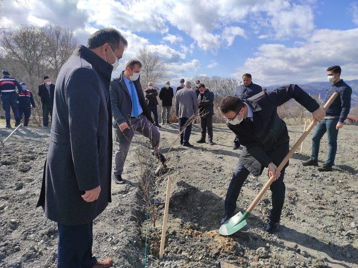 Osmancık’ta bin adet nar fidanı toprakla buluştu G2