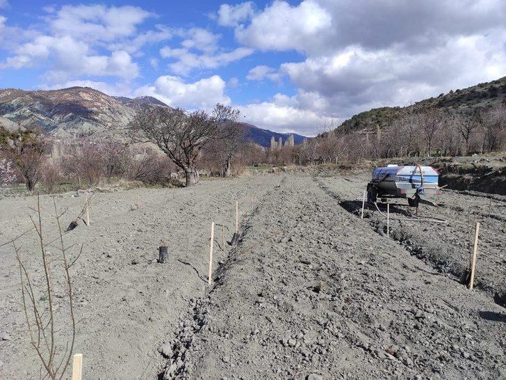 Osmancık’ta bin adet nar fidanı toprakla buluştu G4