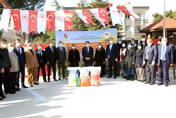 Kuraklığın etkili olduğu Amasya’da çiftçilere ayçiçeği tohumu desteği G1