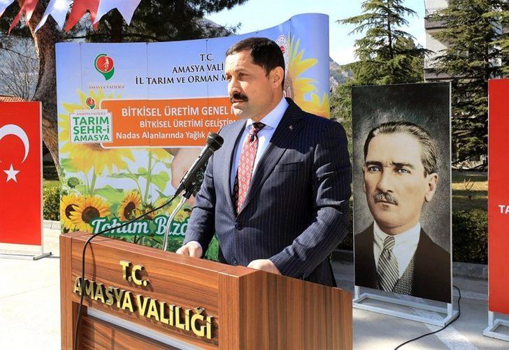 Kuraklığın etkili olduğu Amasya’da çiftçilere ayçiçeği tohumu desteği G3