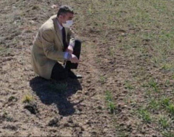 Yerli ve milli buğday tohumu ekili alanlar kontrol edildi G2