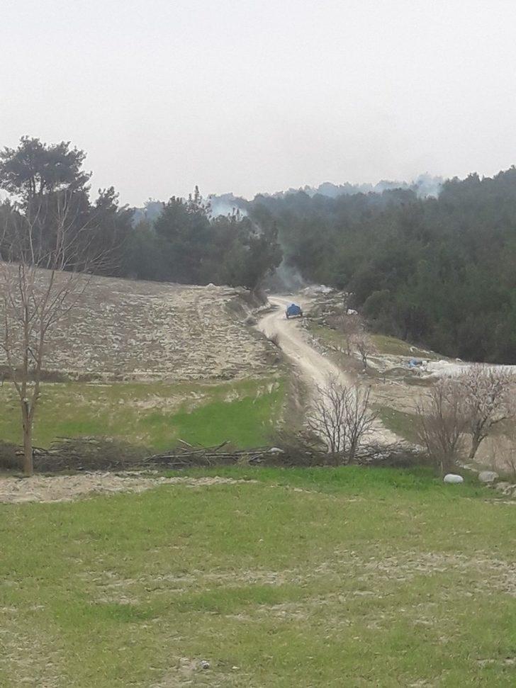 Ormanda 5 farklı noktada yangın çıktı, 1 kişi gözaltına alındı G2