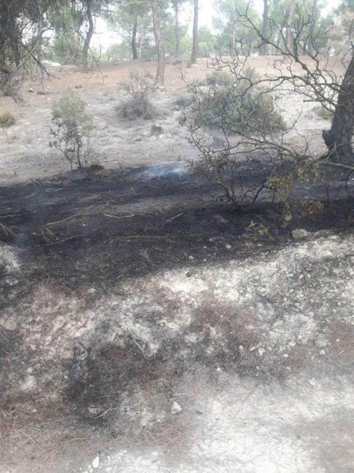 Ormanda 5 farklı noktada yangın çıktı, 1 kişi gözaltına alındı G3