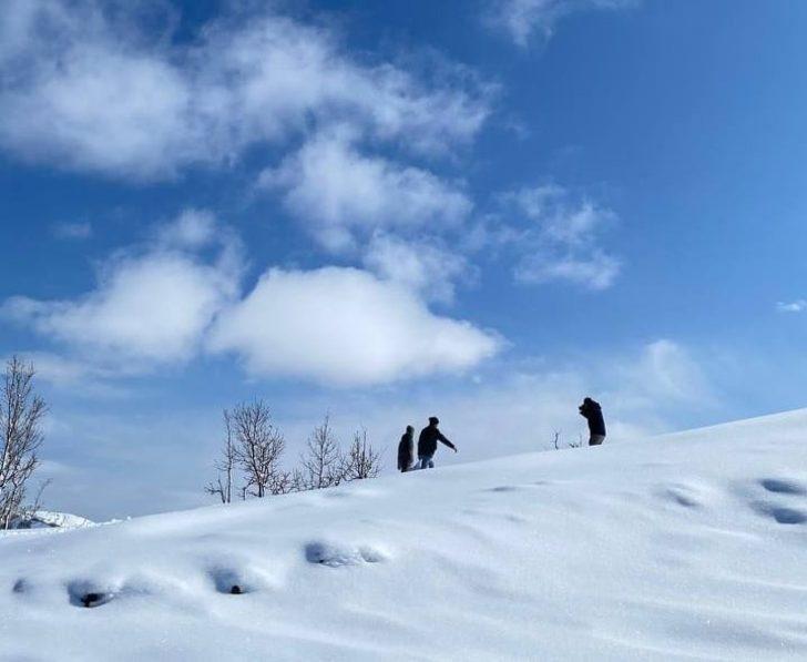 Muş’ta yaban hayvanlarına yem desteği G1