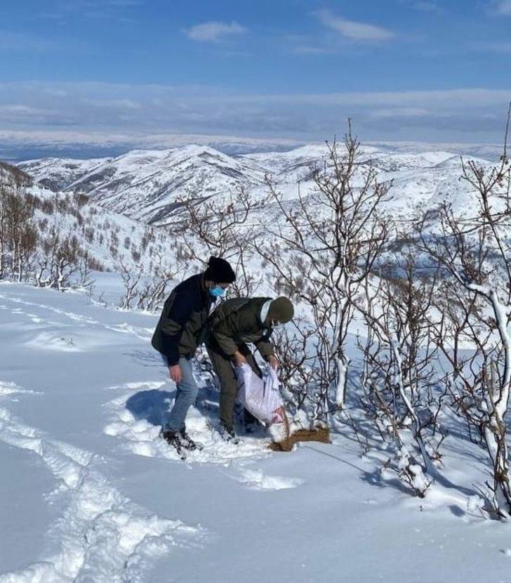 Muş’ta yaban hayvanlarına yem desteği G2