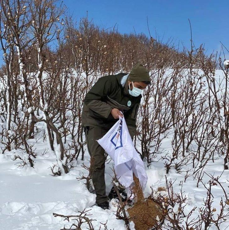 Muş’ta yaban hayvanlarına yem desteği G4