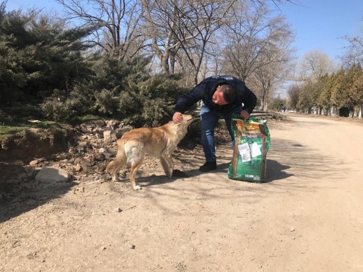 Kırıkkale Belediyesinin hayvan dostu uygulamaları