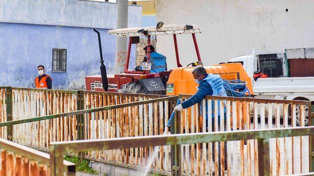 Ceylanpınar’da haşereler için ilaçlama çalışması