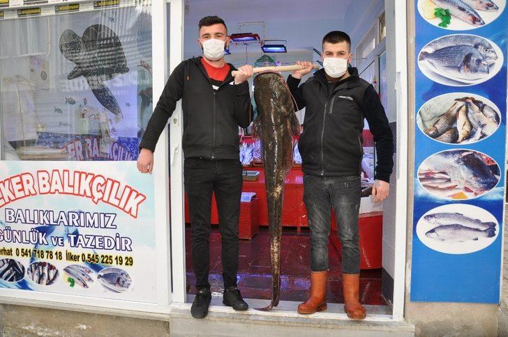 40  kiloluk dev yayın balığı ilgi odağı G1