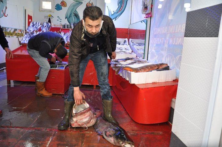 40  kiloluk dev yayın balığı ilgi odağı G5